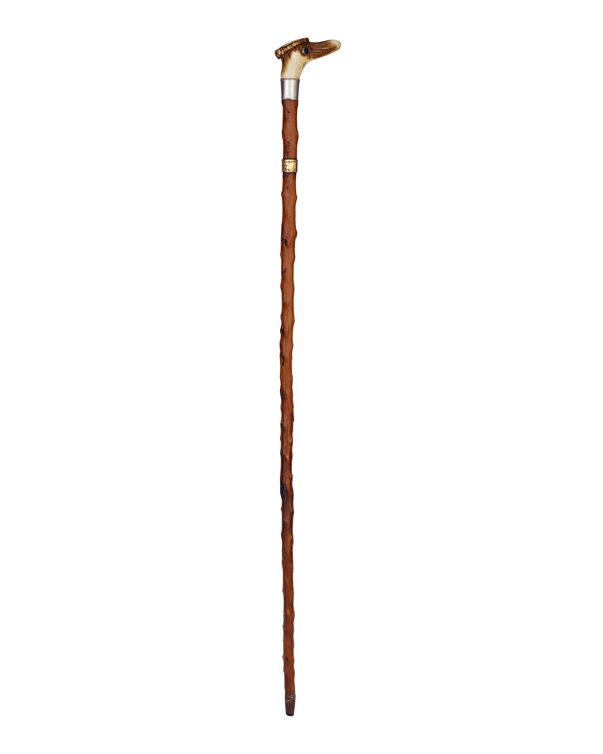 Antler Cane with Duck Face - Image 3