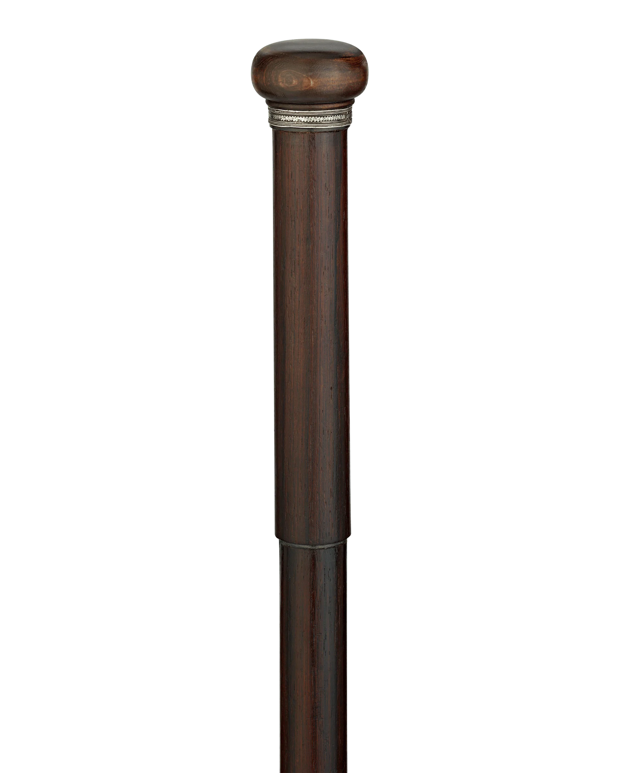 Artist's Easel Cane