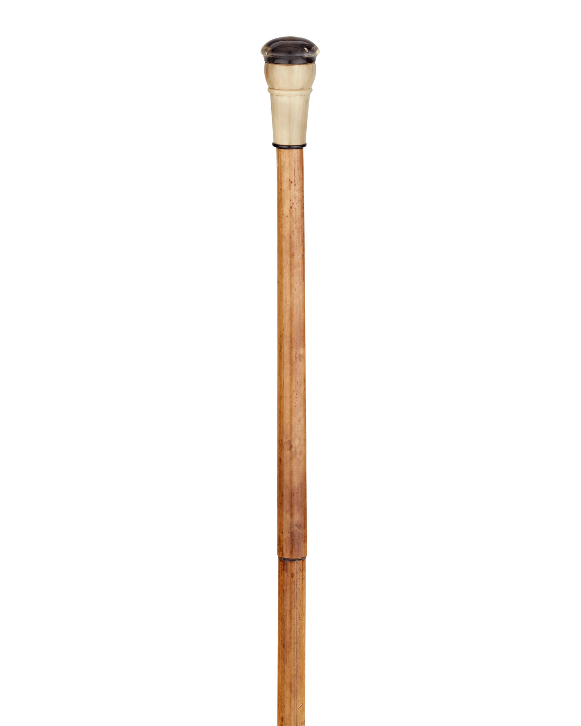 Blowgun Cane - Image 2