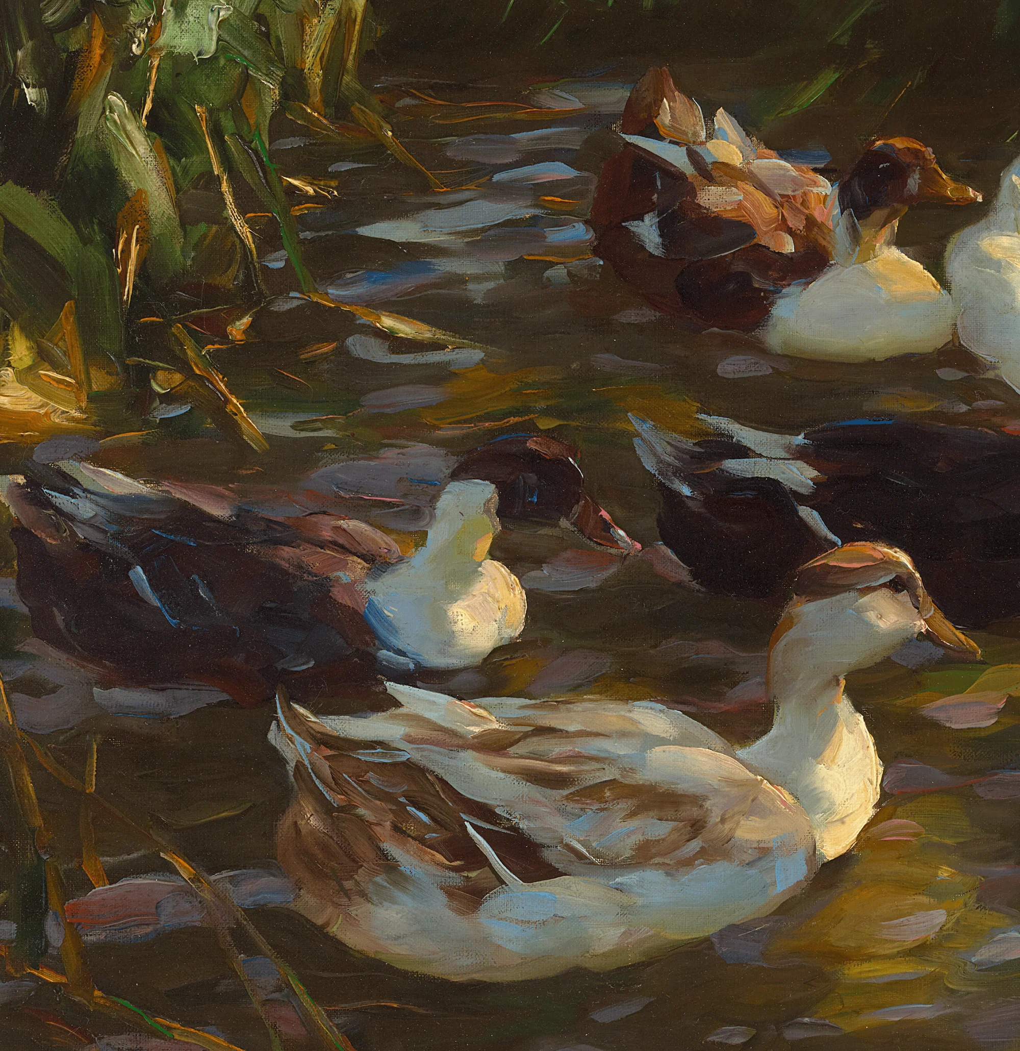 Ducks in a Pond by Alexander Koester - Image 3