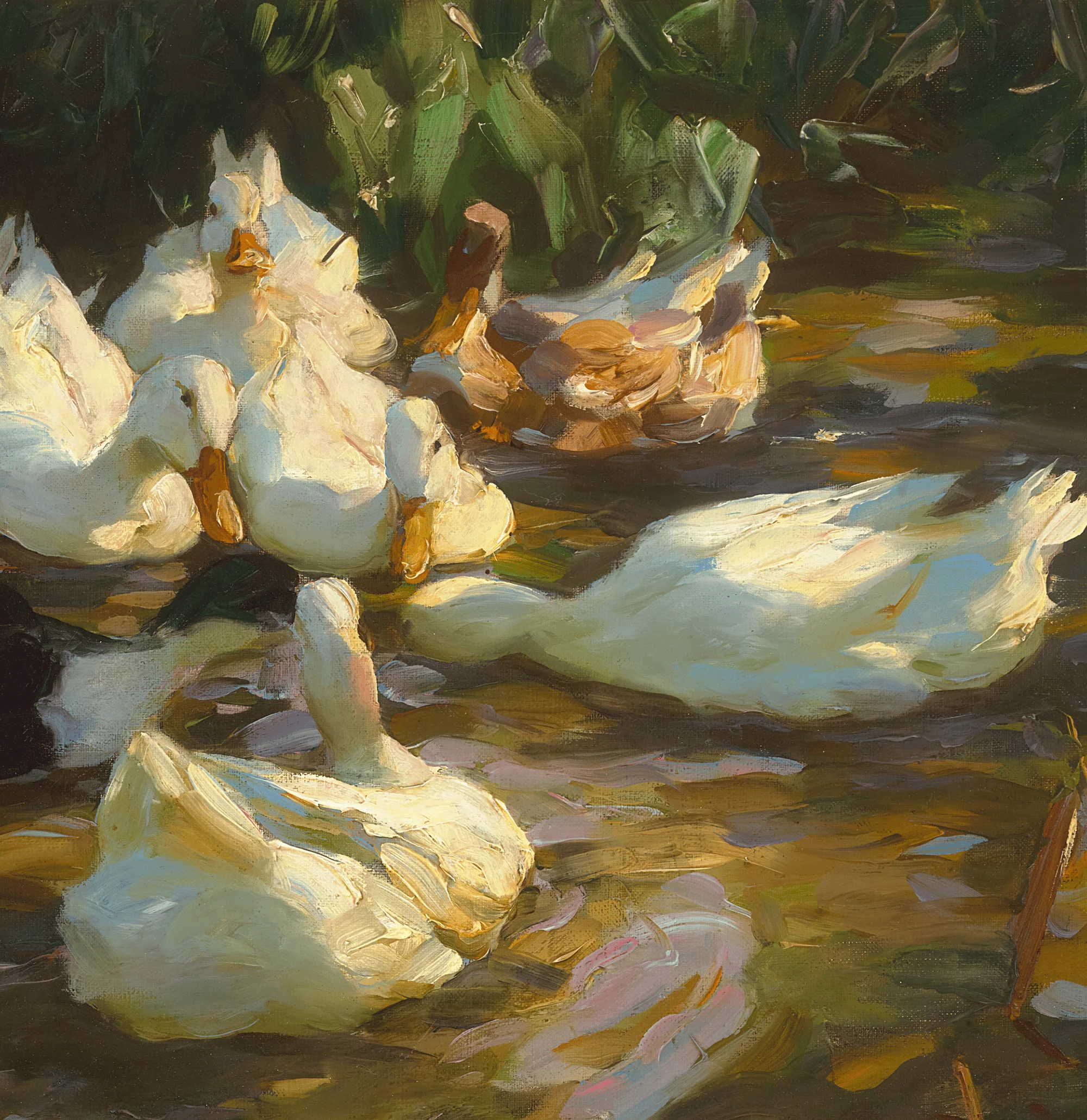 Ducks in a Pond by Alexander Koester - Image 4