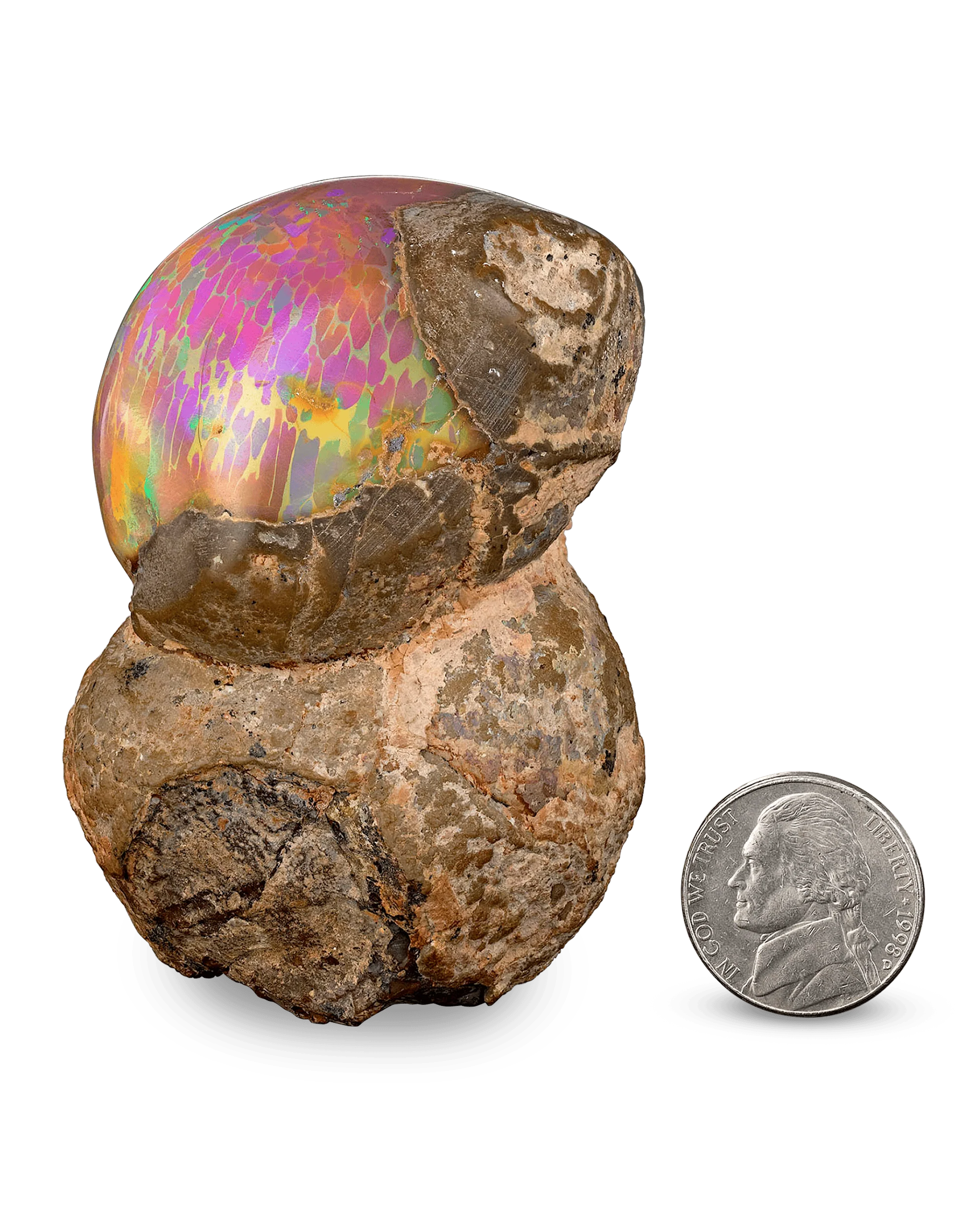 Ethiopian Mezezo Chocolate Opal Specimen - Image 2