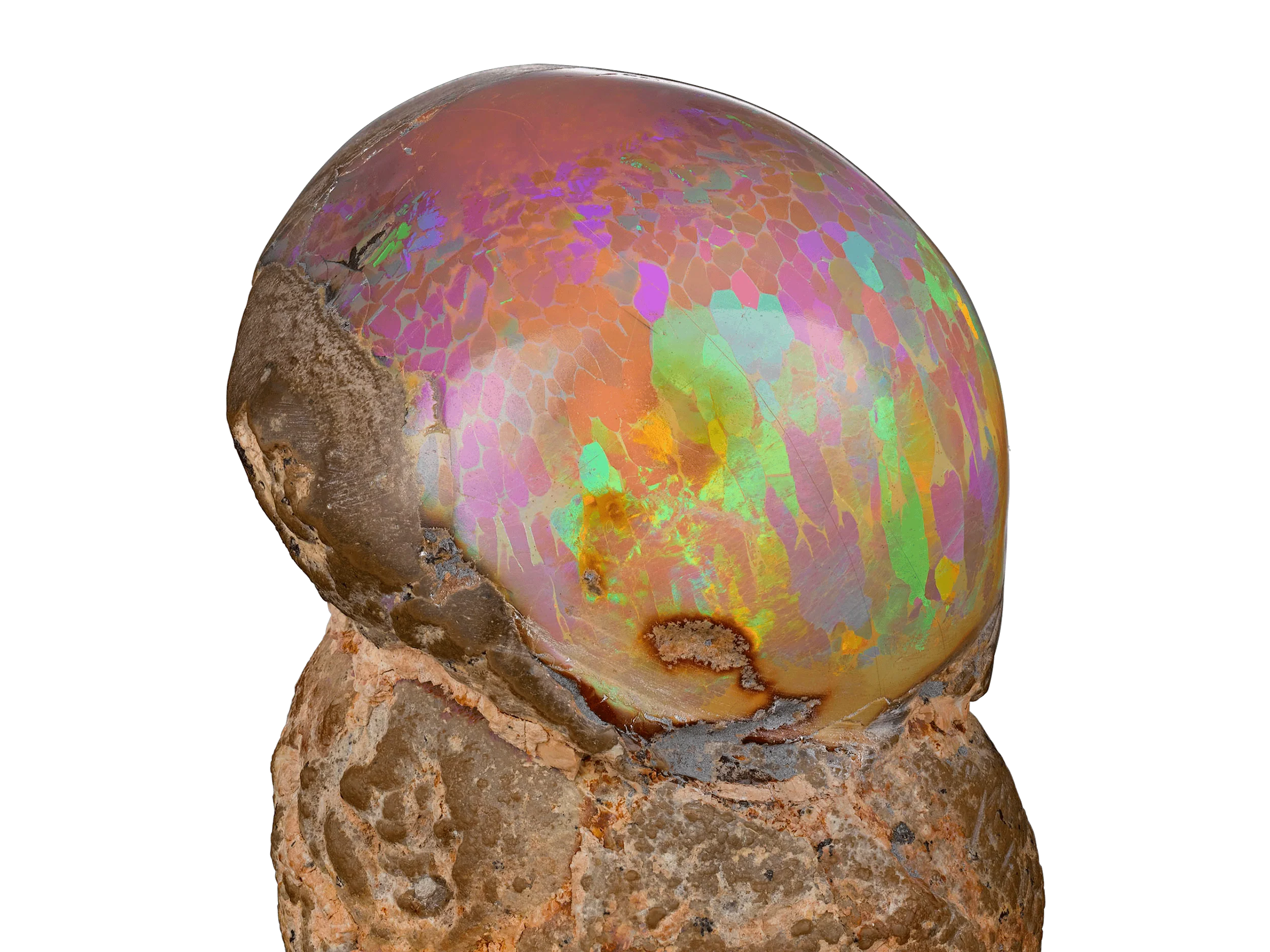 Ethiopian Mezezo Chocolate Opal Specimen - Image 4
