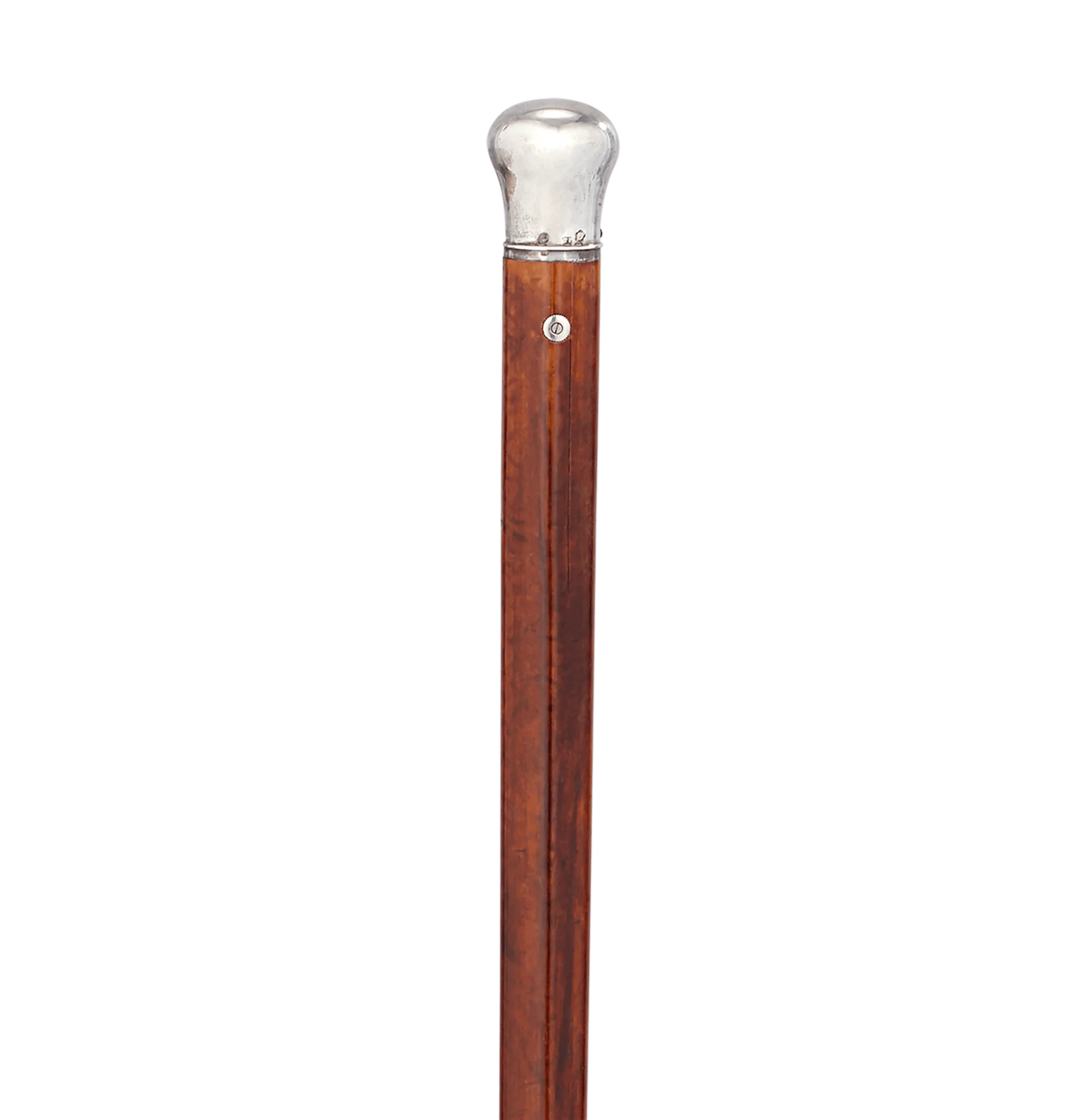 Holuska Watch Cane - Image 2