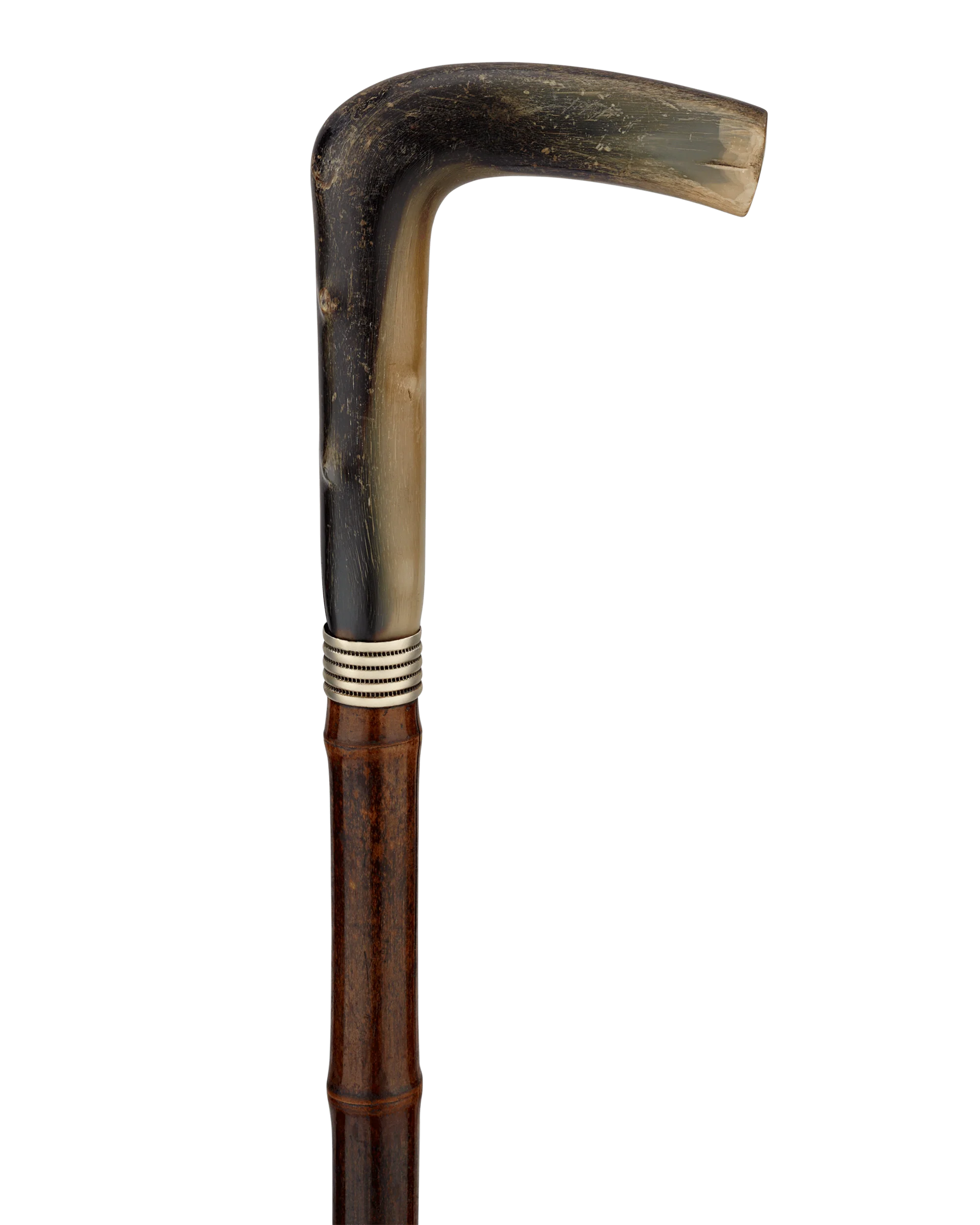 Horse Measuring Cane - Image 2