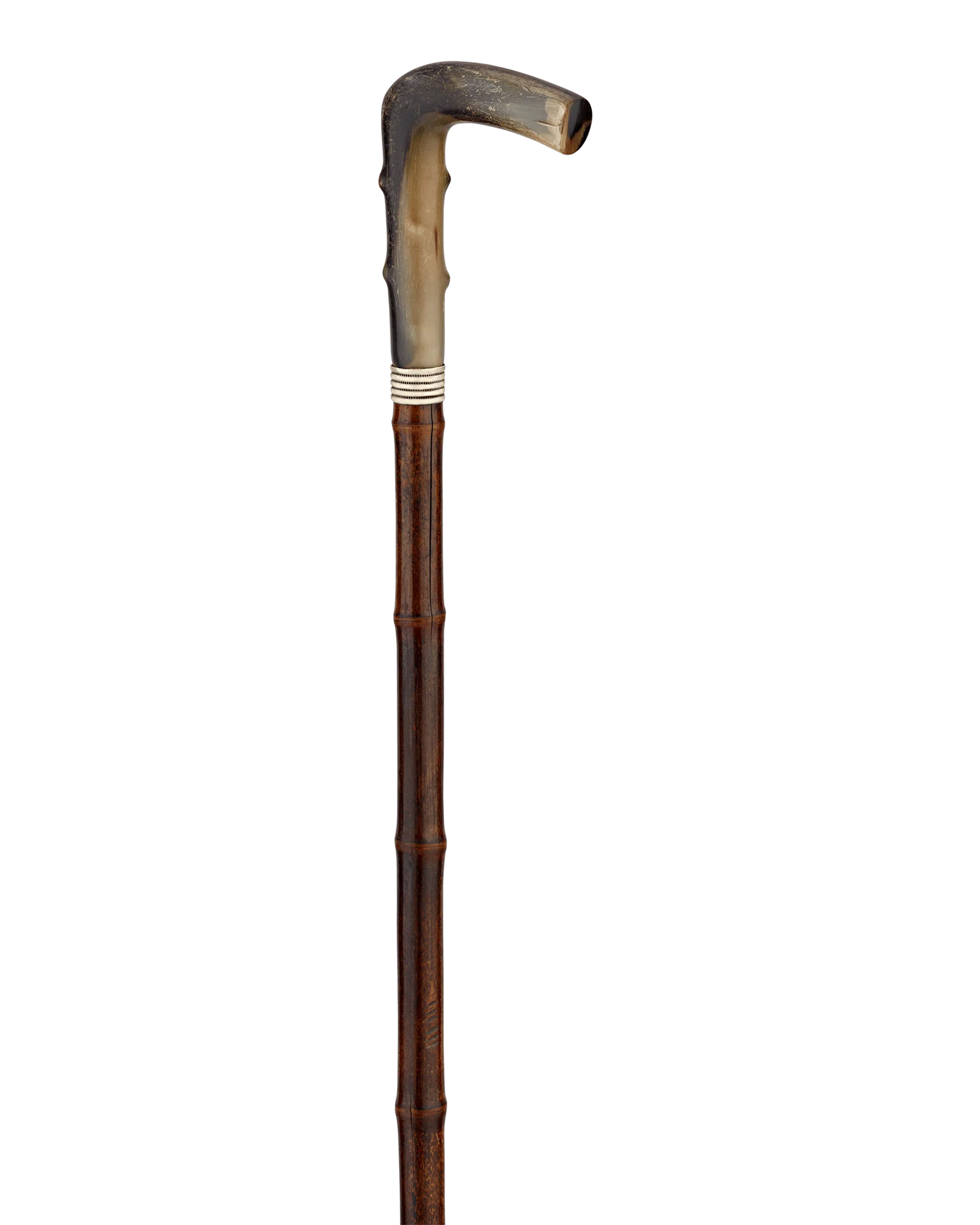 Horse Measuring Cane - Image 3