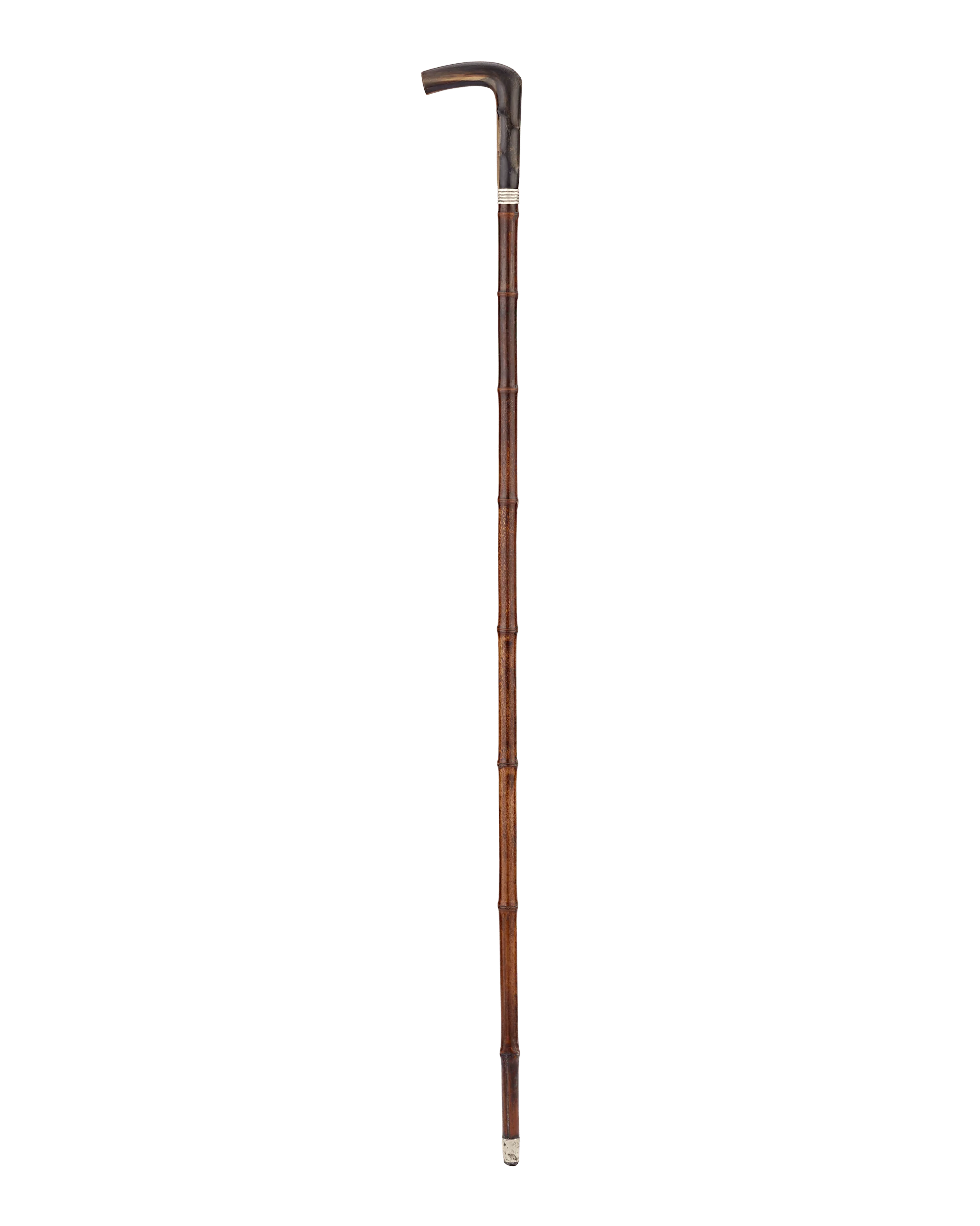 Horse Measuring Cane - Image 4