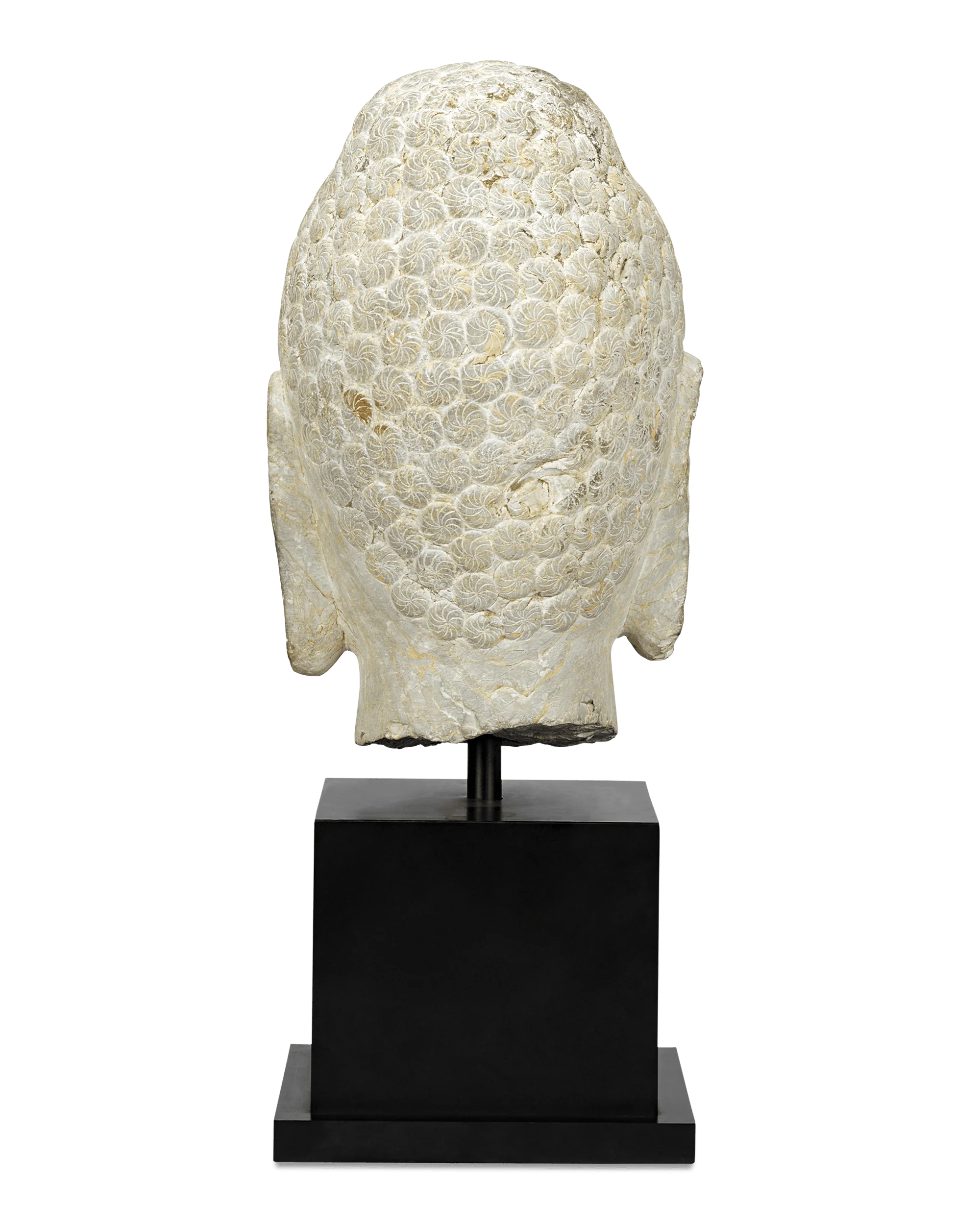 Limestone Buddha Head, 6th-Century Qi Dynasty - Image 4