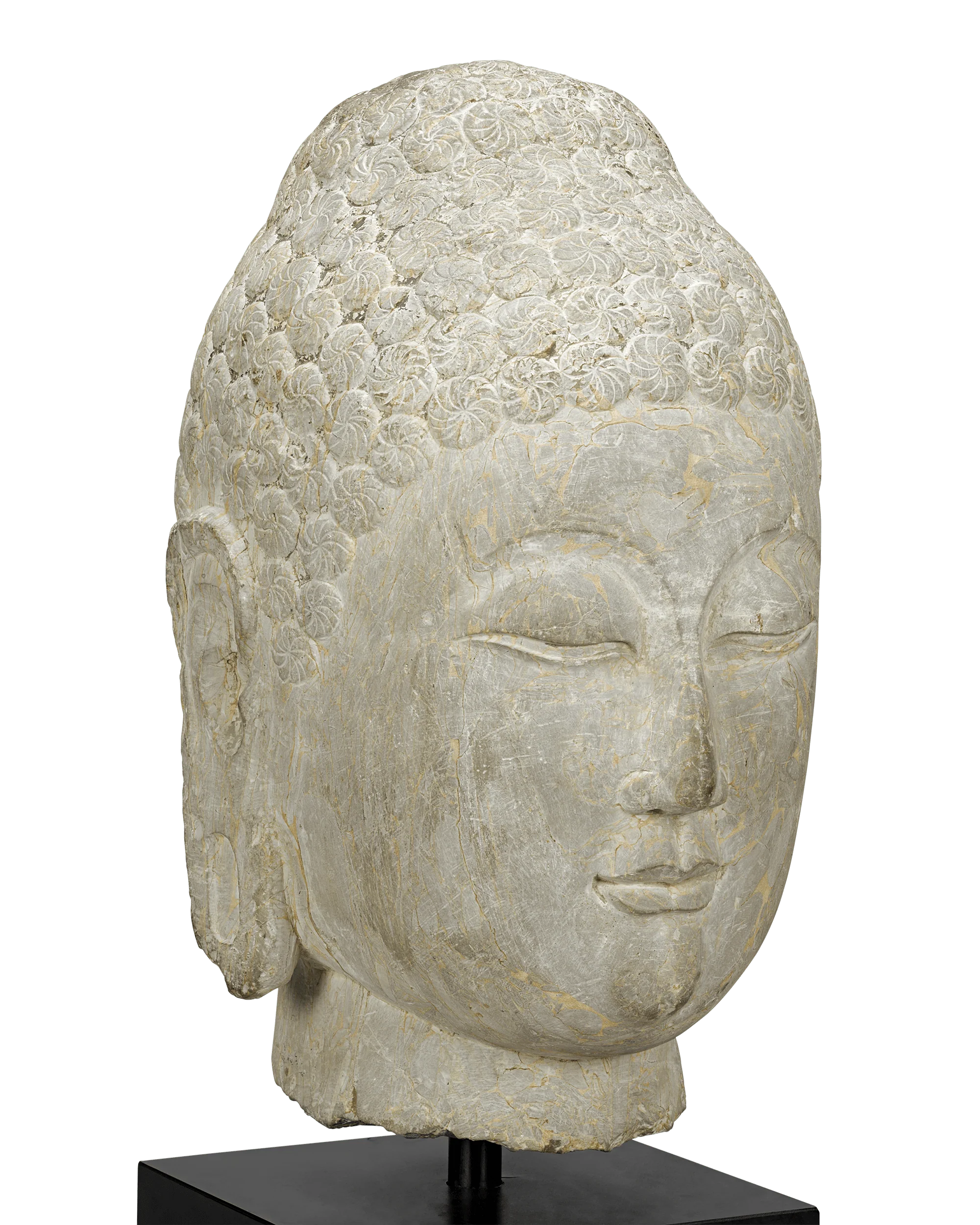 Limestone Buddha Head, 6th-Century Qi Dynasty - Image 5