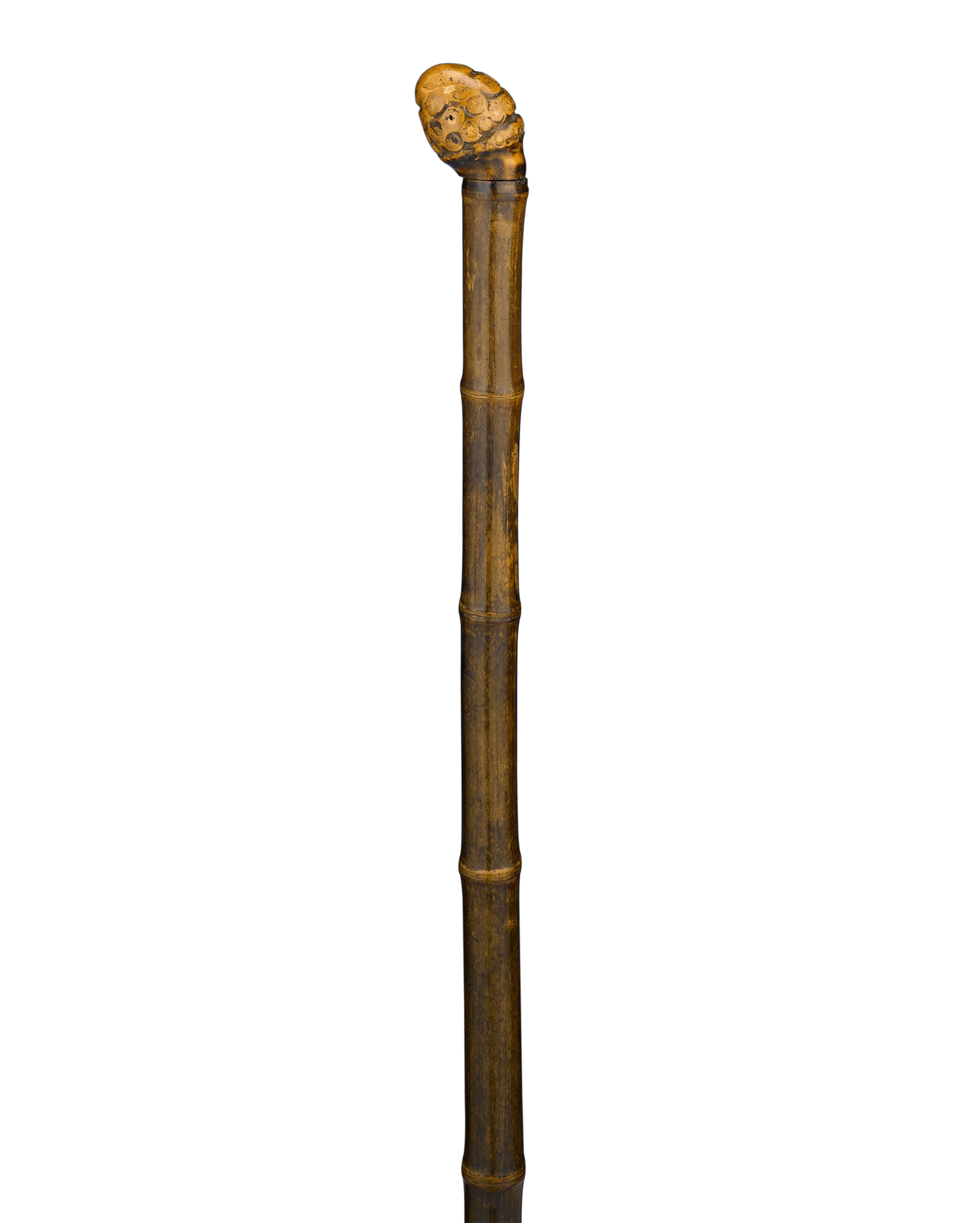 Measuring Walking Stick - Image 2