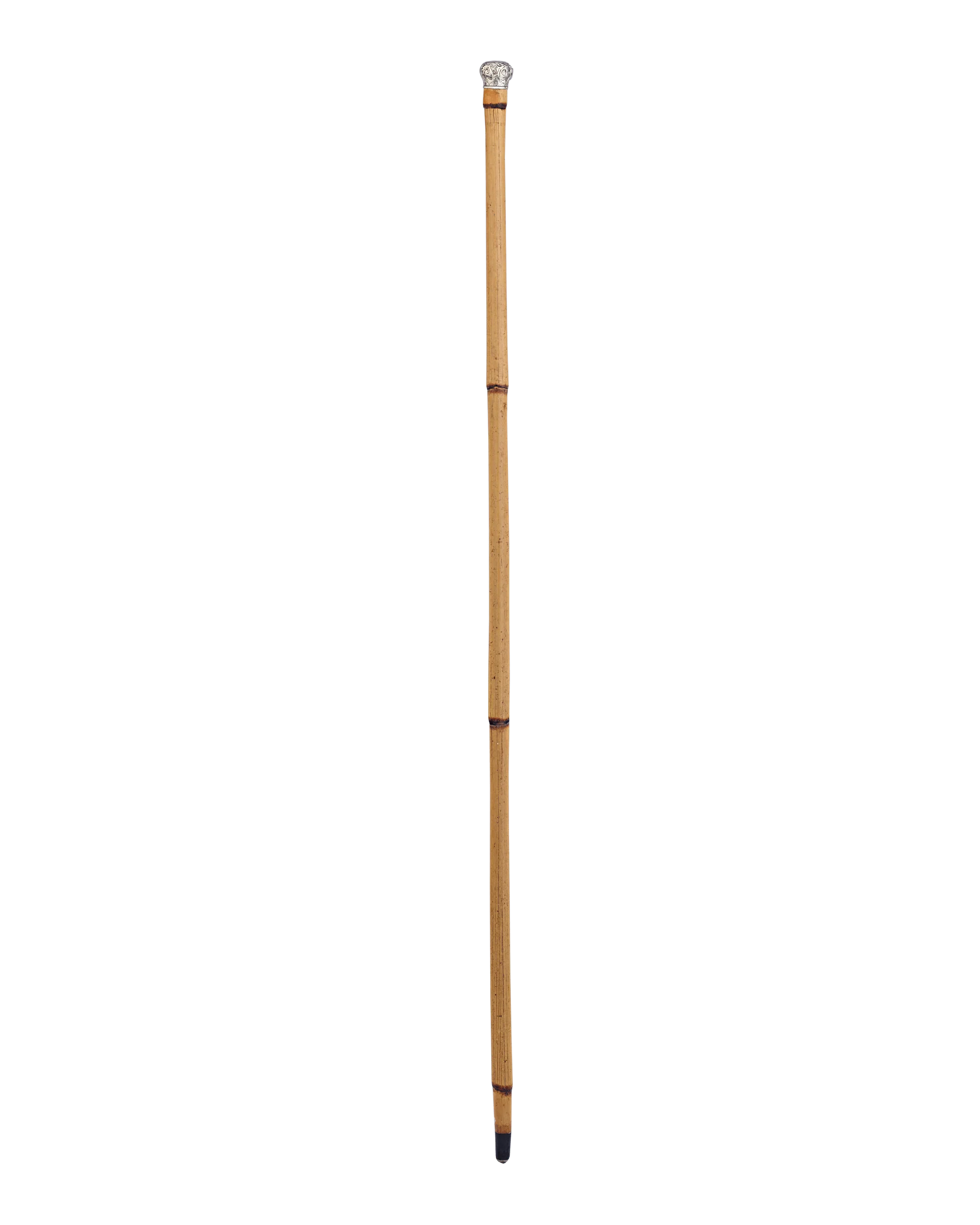 Silver Handle Horse Measuring Cane - Image 3