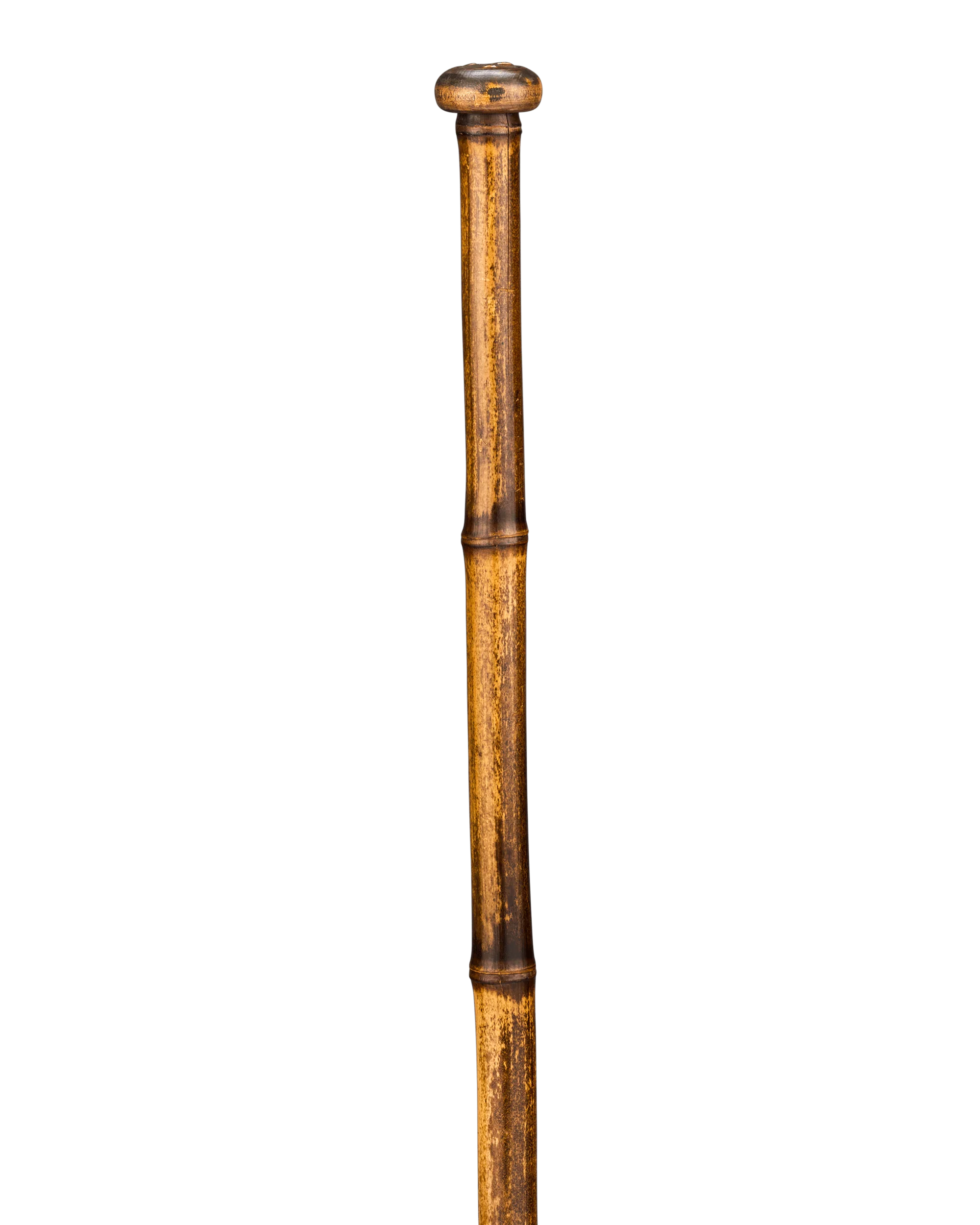 Soil Extractor Cane - Image 2