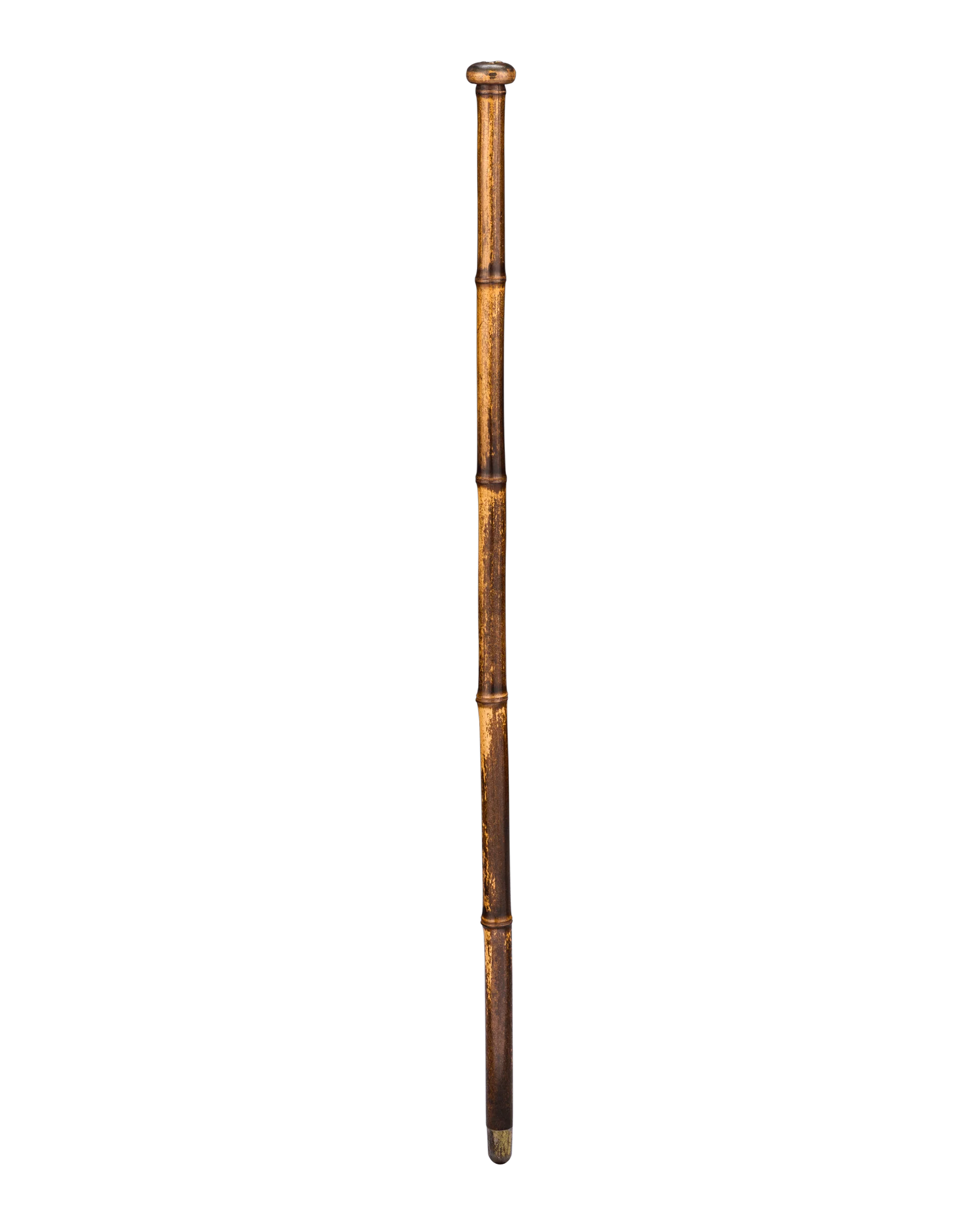 Soil Extractor Cane - Image 3