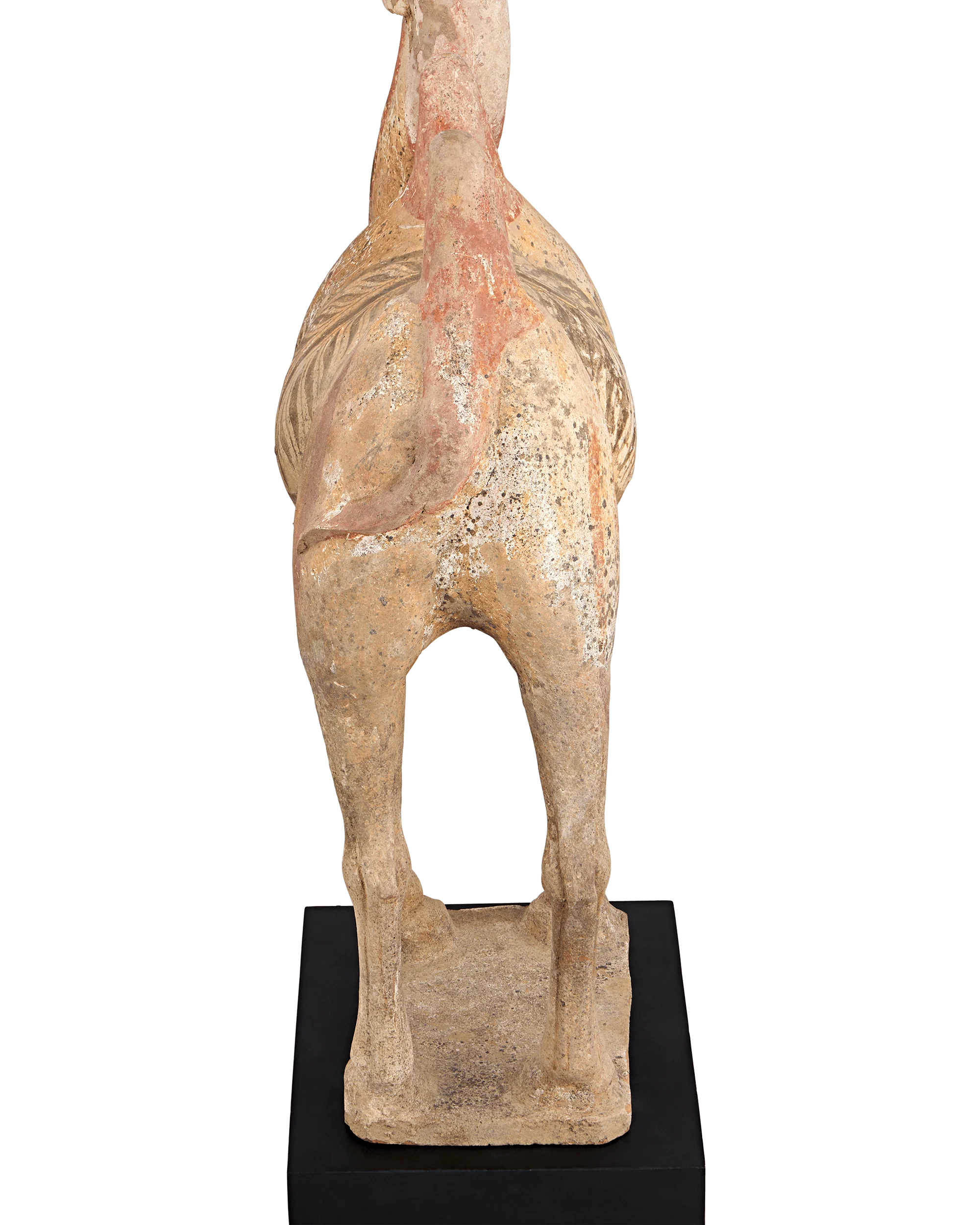 Tang Dynasty Terracotta Camel - Image 4