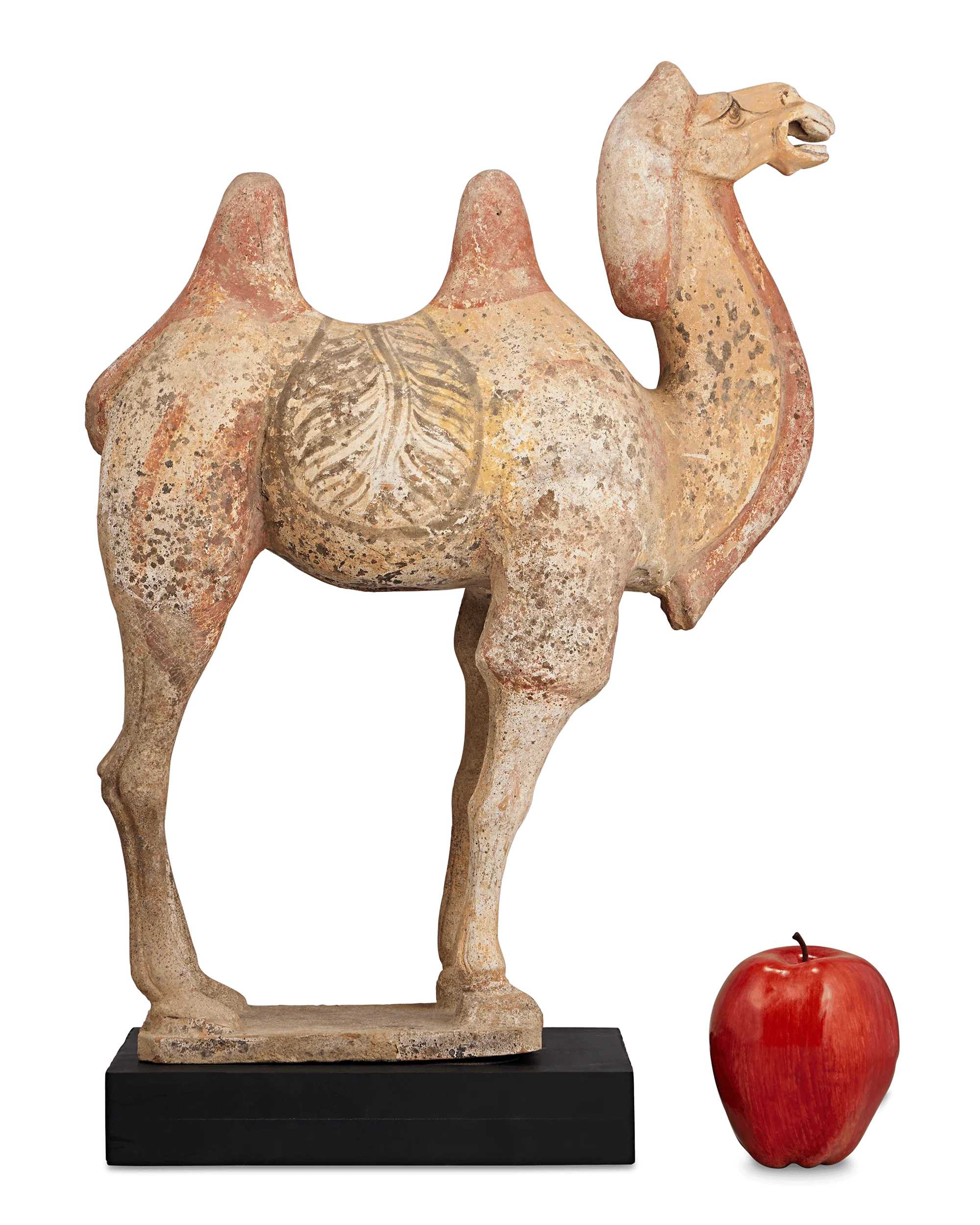 Tang Dynasty Terracotta Camel - Image 5