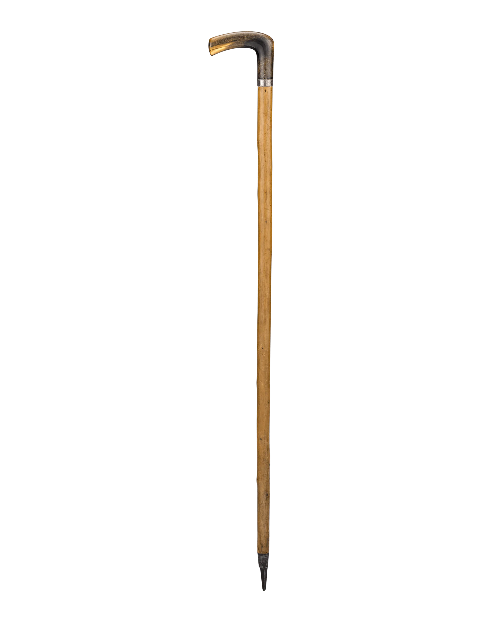 Tree Sap Cane - Image 3