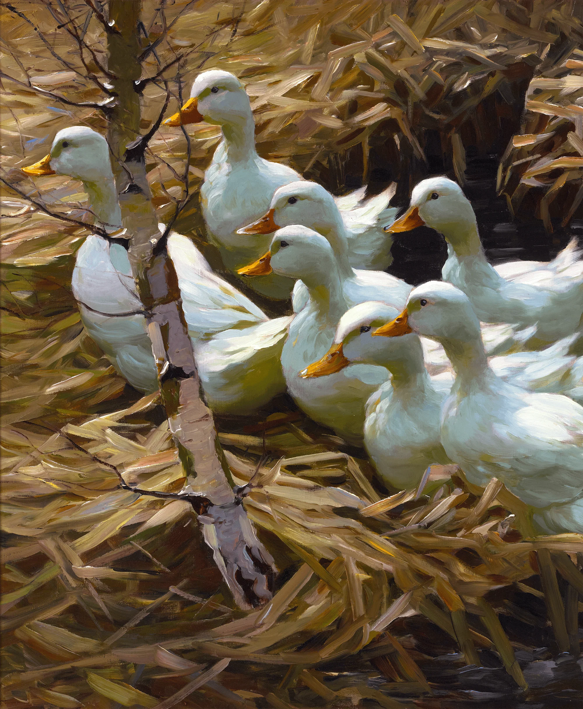 Twelve Ducks in the Reeds by Alexander Koester - Image 3