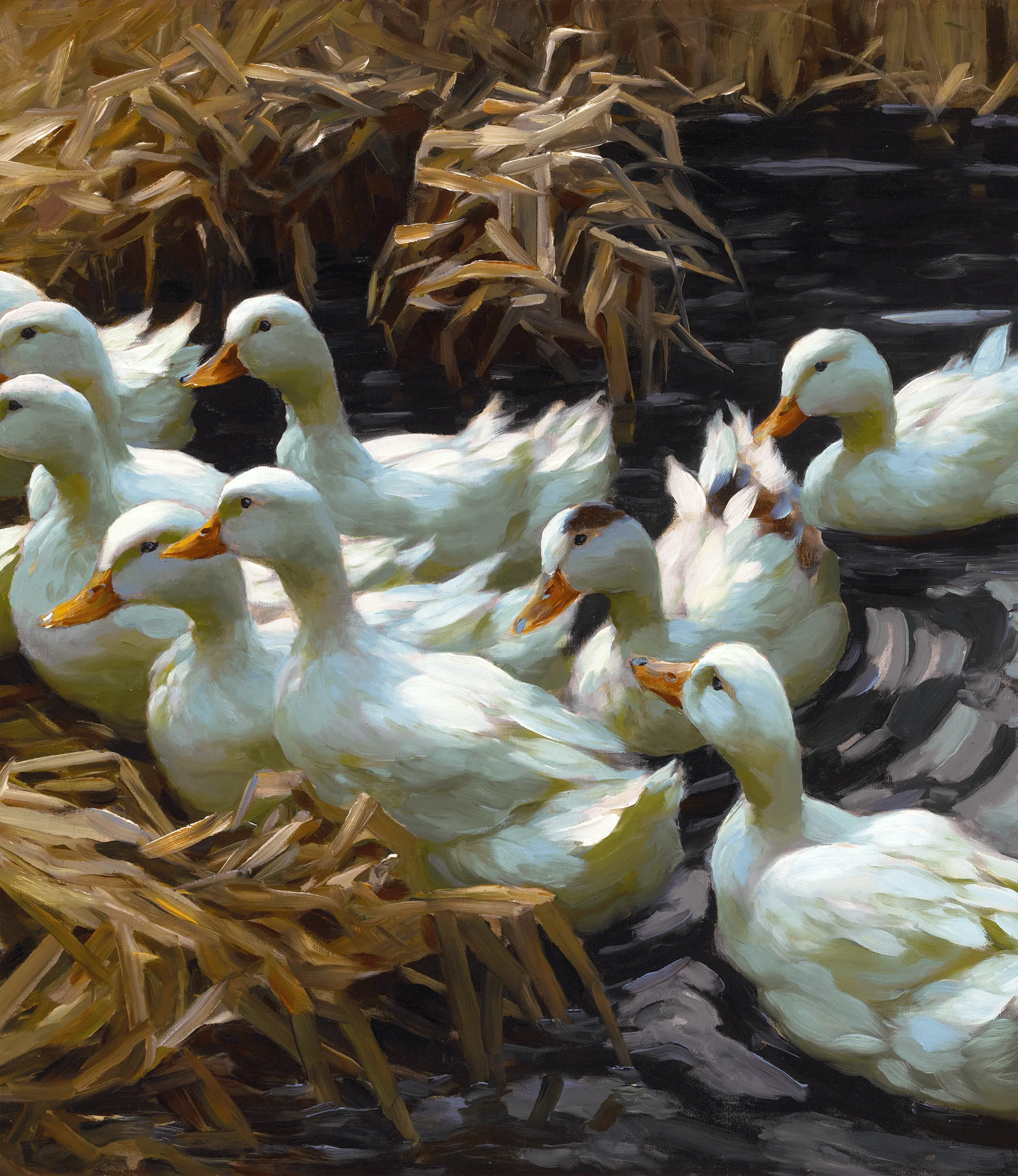 Twelve Ducks in the Reeds by Alexander Koester - Image 4