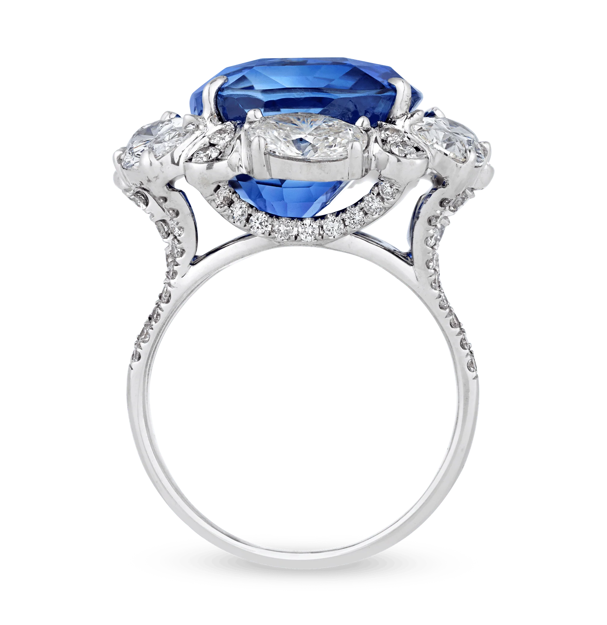 Untreated Burma Sapphire Ring, 19.80 Carats - Image 4