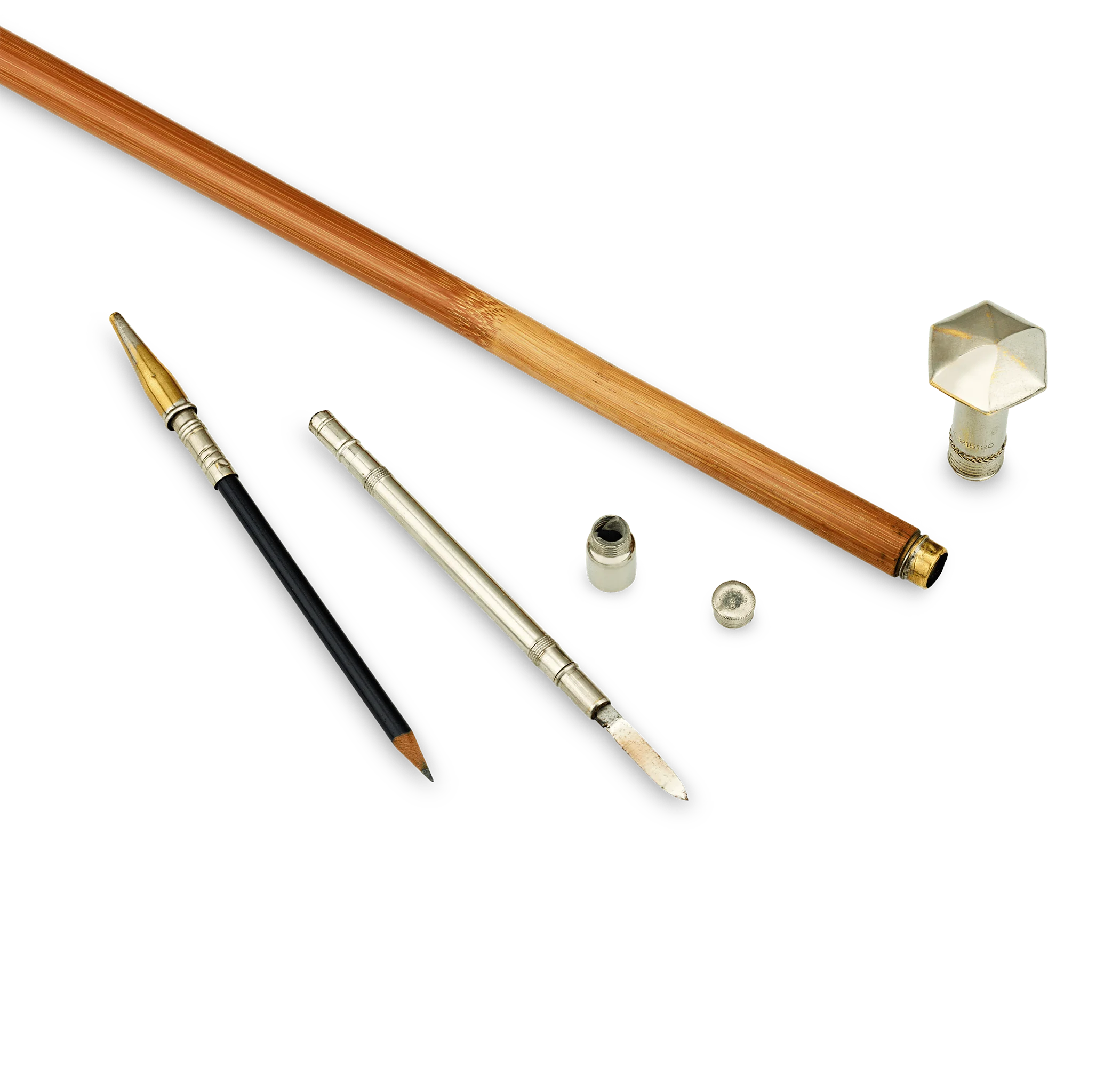 Woman’s Writer Cane